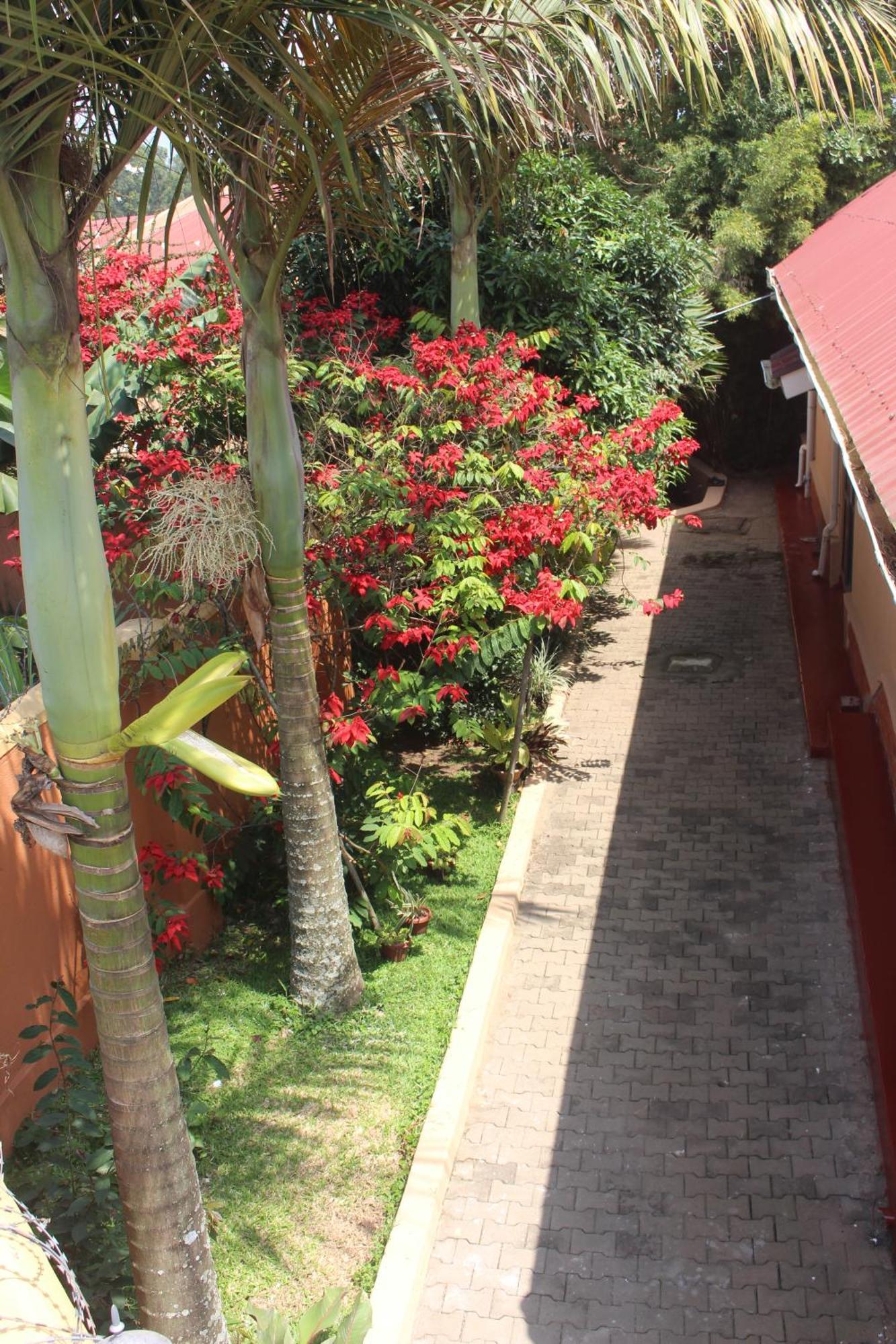 Montane Safaris Hotel Fort Portal Exterior foto